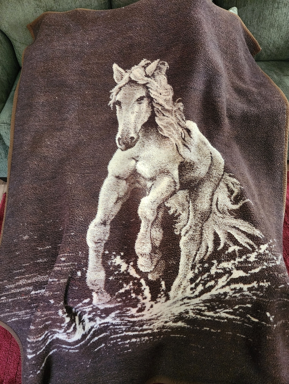 Biederlack Horse Blanket